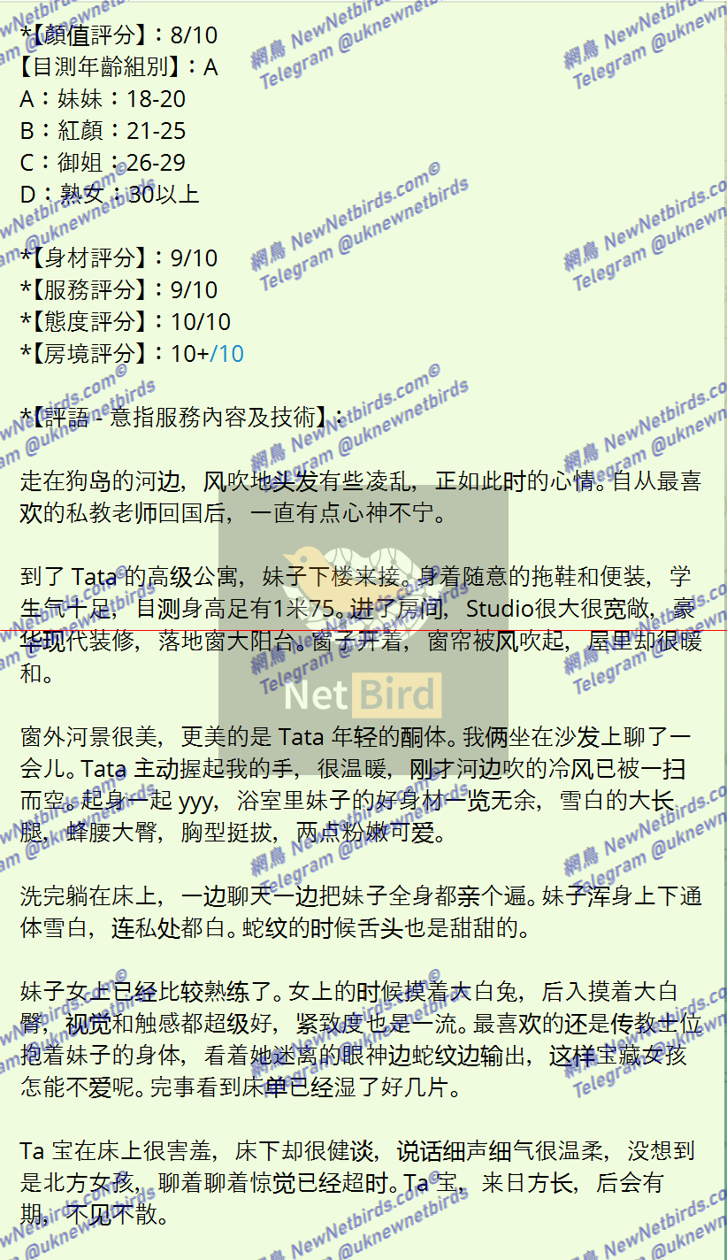 戰號 519 2.png